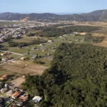 Captura de pantalla 2025-08-06 151214
